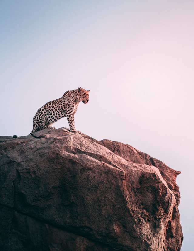 Photo by Geranimo on Unsplash       