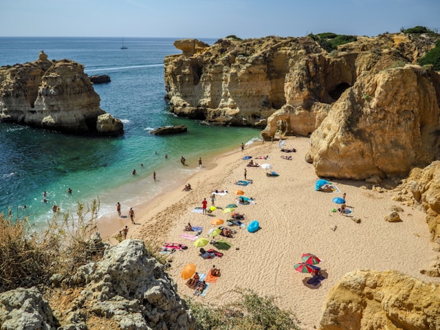 Photo by Ioana Mohanu on Unsplash       