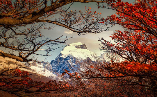 Country image
