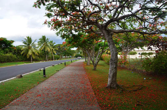 Country image
