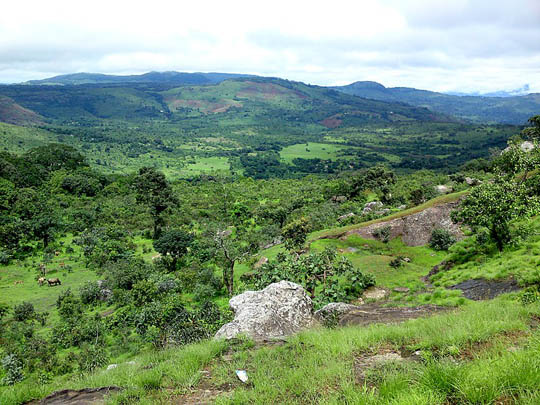 Country image