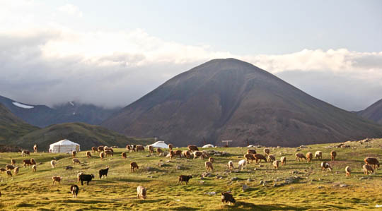 Country image