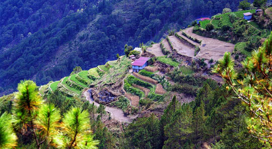 Country image