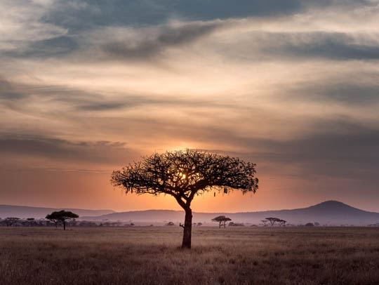 Country image